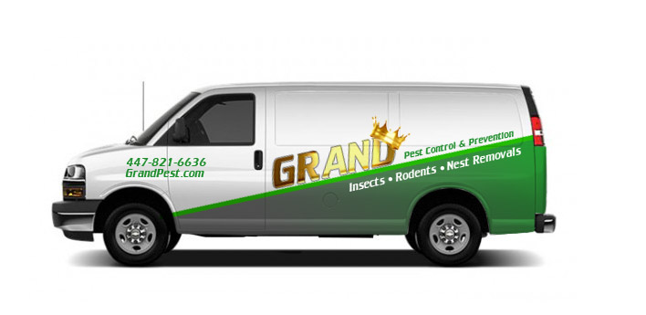 Chevy Express Truck Lettering